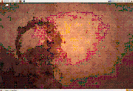 Imperial Ibex desktop